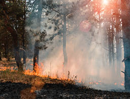 Environmental Air Quality image