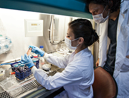 Process Development image